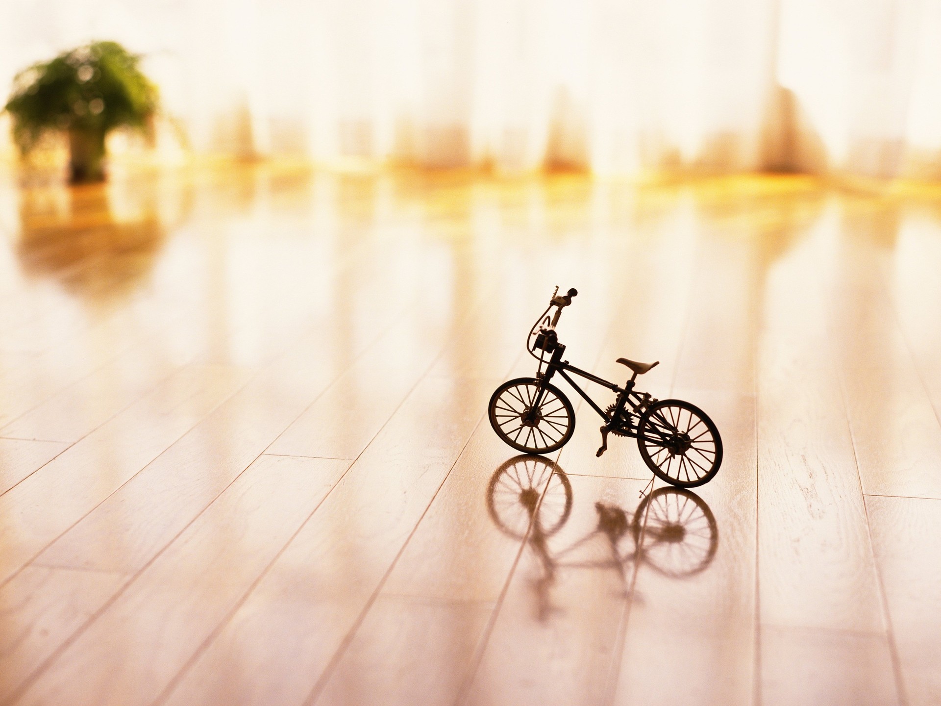 Toy Bicycle Wallpaper 46132 1920x1440px
