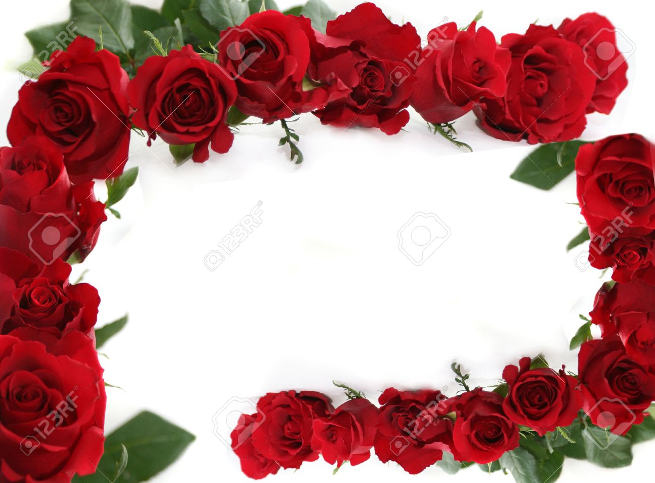 Red Roses Making Border Framed Isolated Love Letter Horizontal
