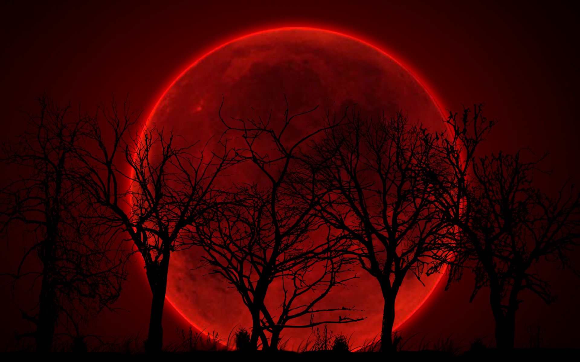 Bloody Red Moon Wallpaper