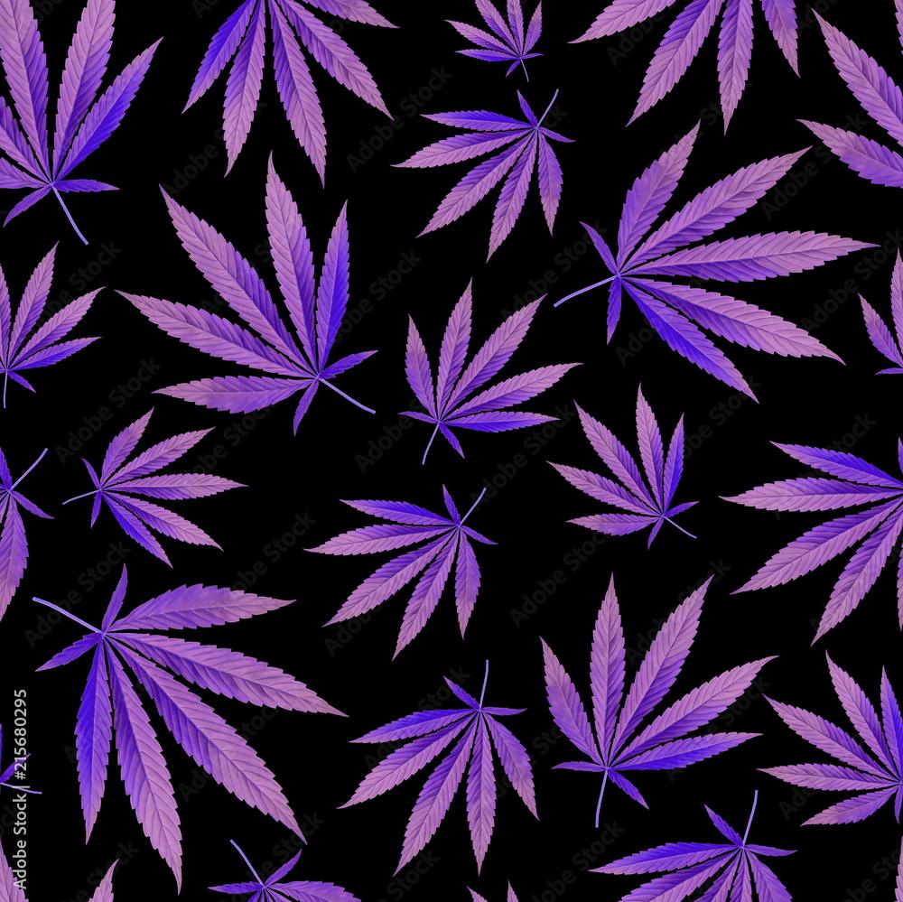 Texture For Design Wallpaper Purple Leaves On Black Background
