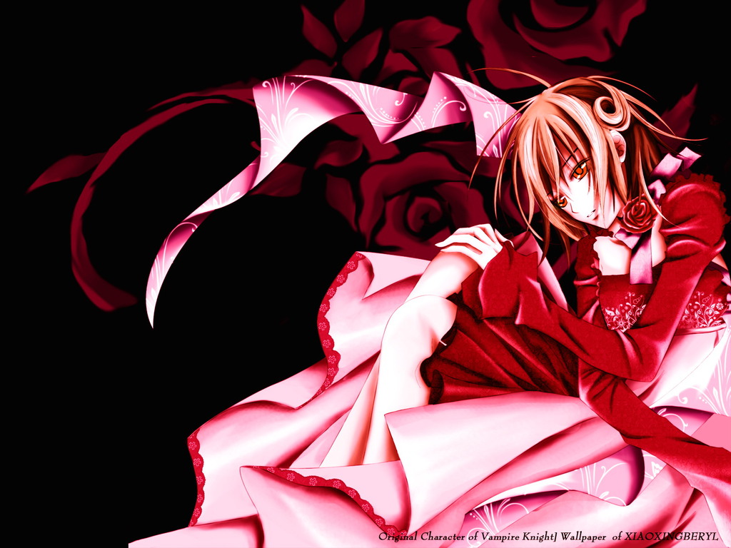 Vampire Knight Yuki Wallpaper HD In Anime Imageci