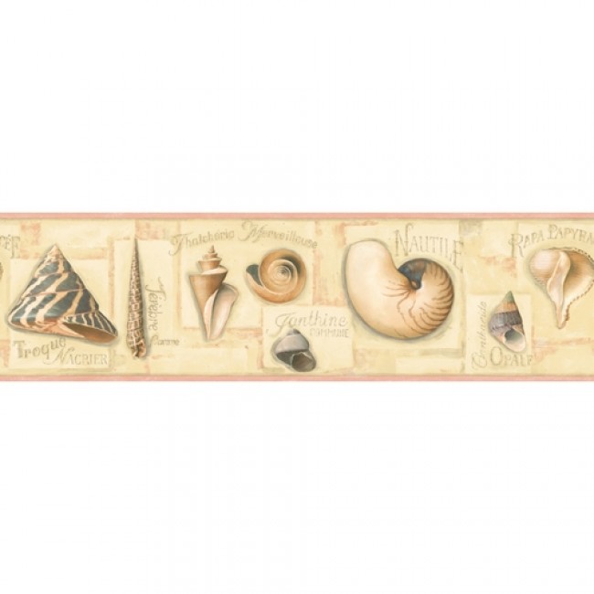 Free download Shells Coral and Starfish on a Shelf Wallpaper Border All