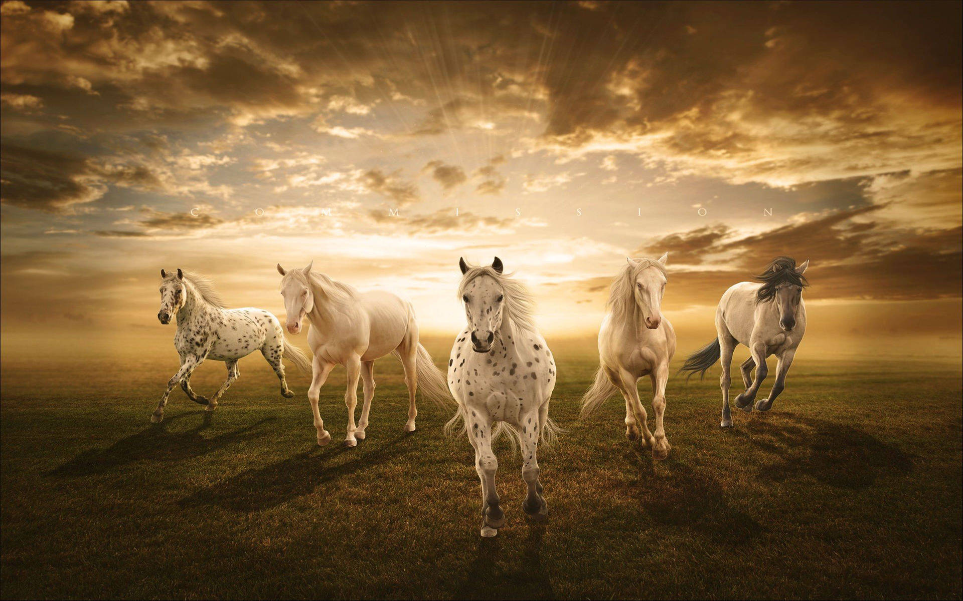 White Horse Wallpaper