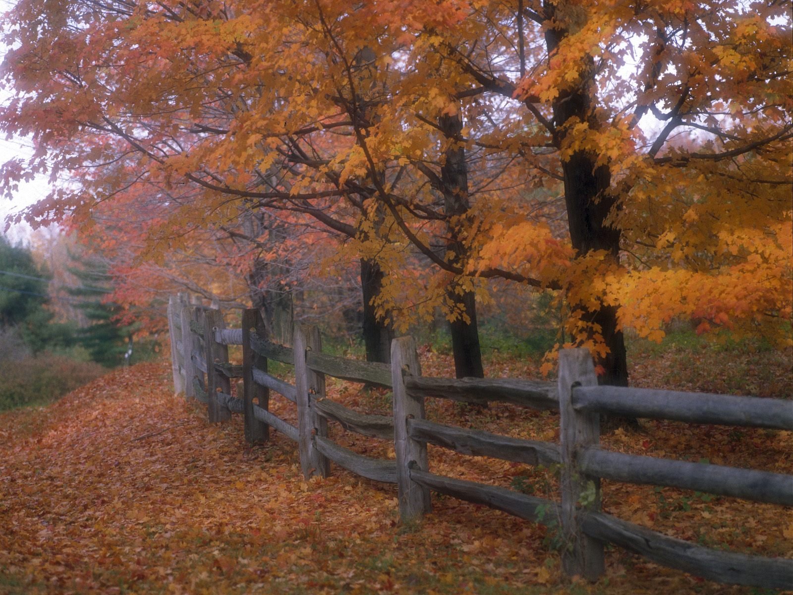 1600x1200 Country fence desktop PC and Mac wallpaper 1600x1200
