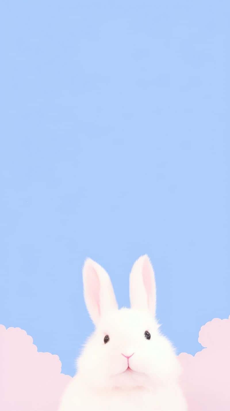 Bunny Aesthetic Wallpaper
