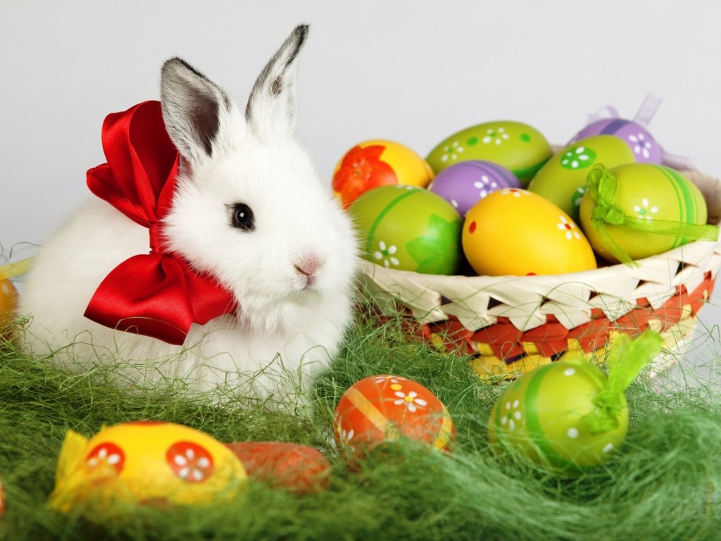 Easter Bunny Desktop Wallpaper Pictures In High