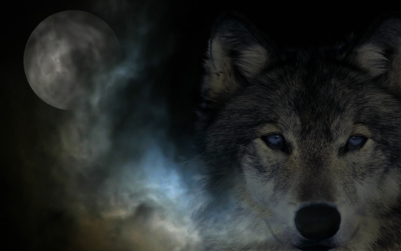 Darkwolf Puter Wallpaper Desktop Background Id