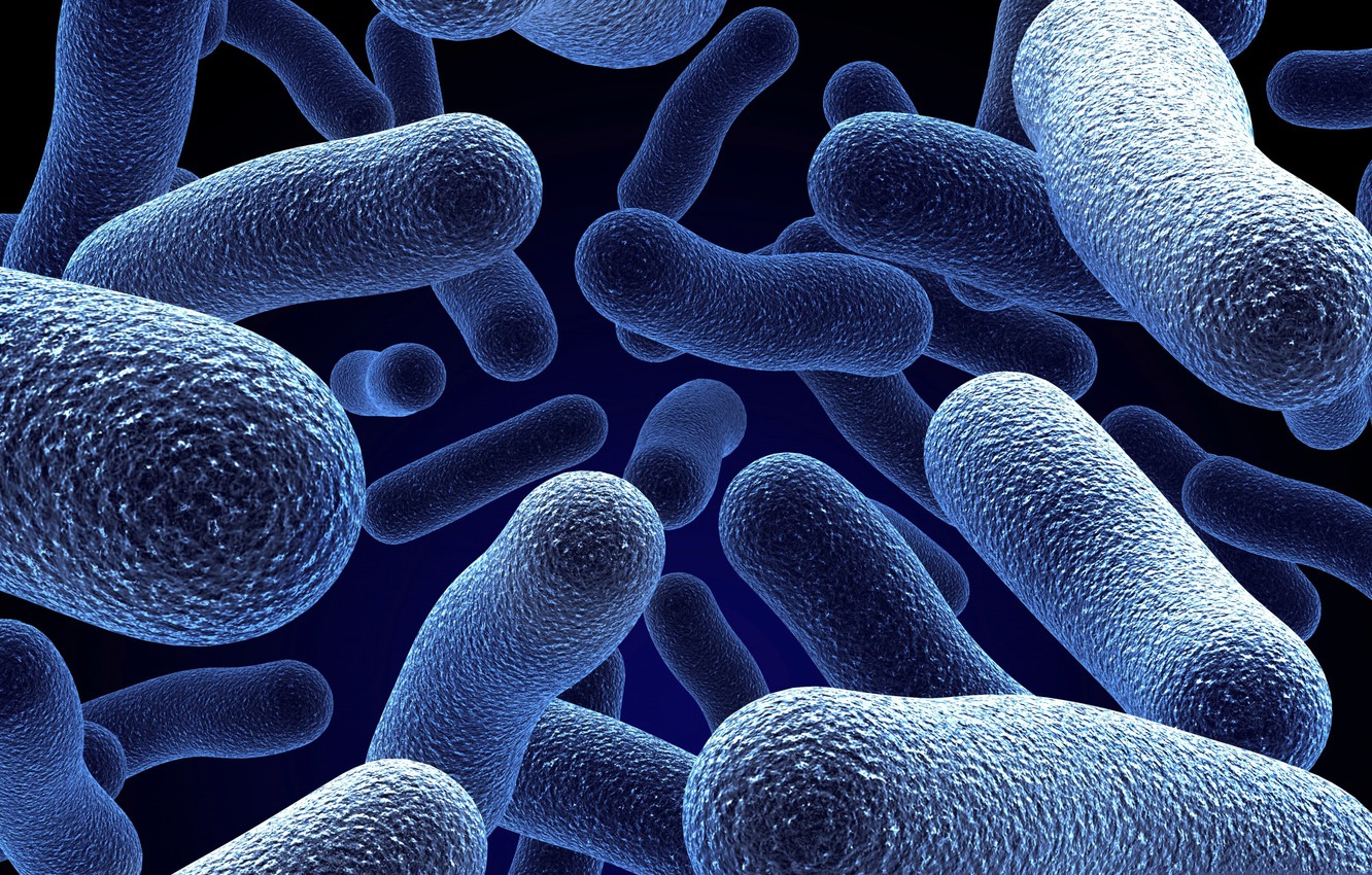 Wallpaper Microscope Bacteria Microorganisms Microbes Image