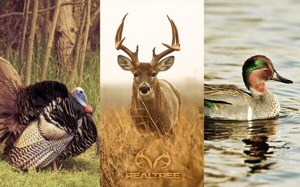 Realtree on New free wallpaper downloads are available on