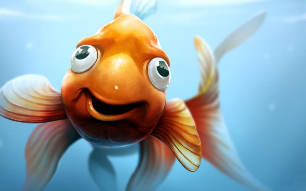 Funny Fish Wallpaper Teahub Io