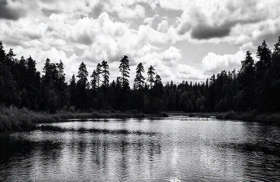 Black And White Hd Wallpaper