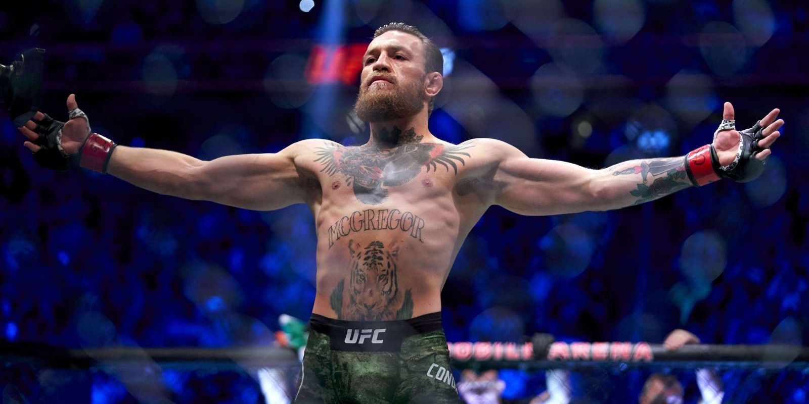  60 UFC 4k Wallpapers WallpaperSafari