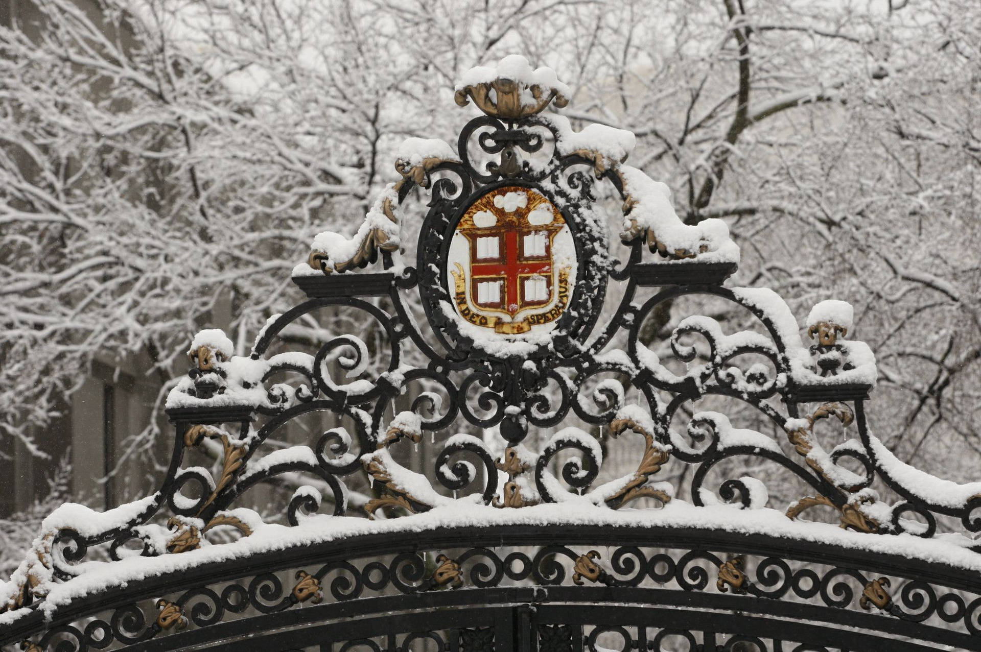 Top Brown University Wallpaper Full HD 4k To Use