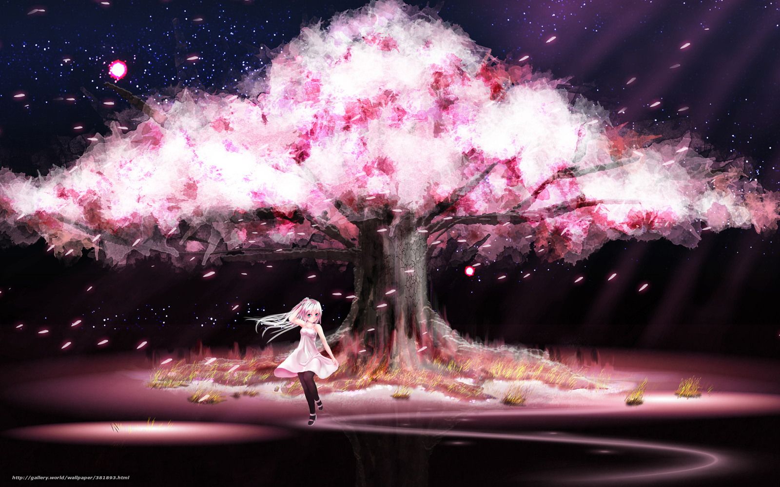 Wallpaper Girl Tree Sakura Bloom Desktop In