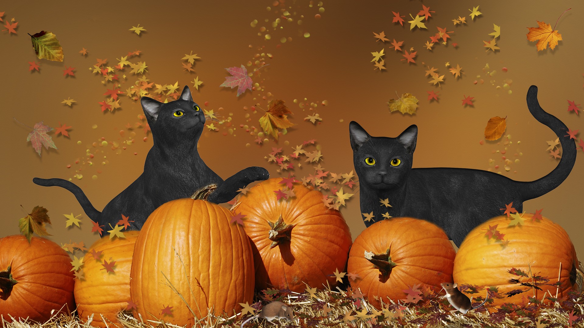 Two black cats sit among pumpkins and autumn leaves in a kawaii Halloween scene