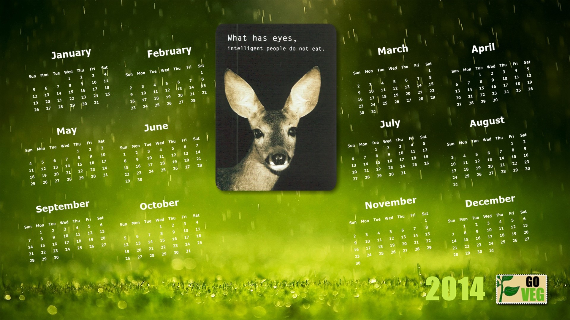 2014 vegan calendar HD Wallpaper 1920x1080