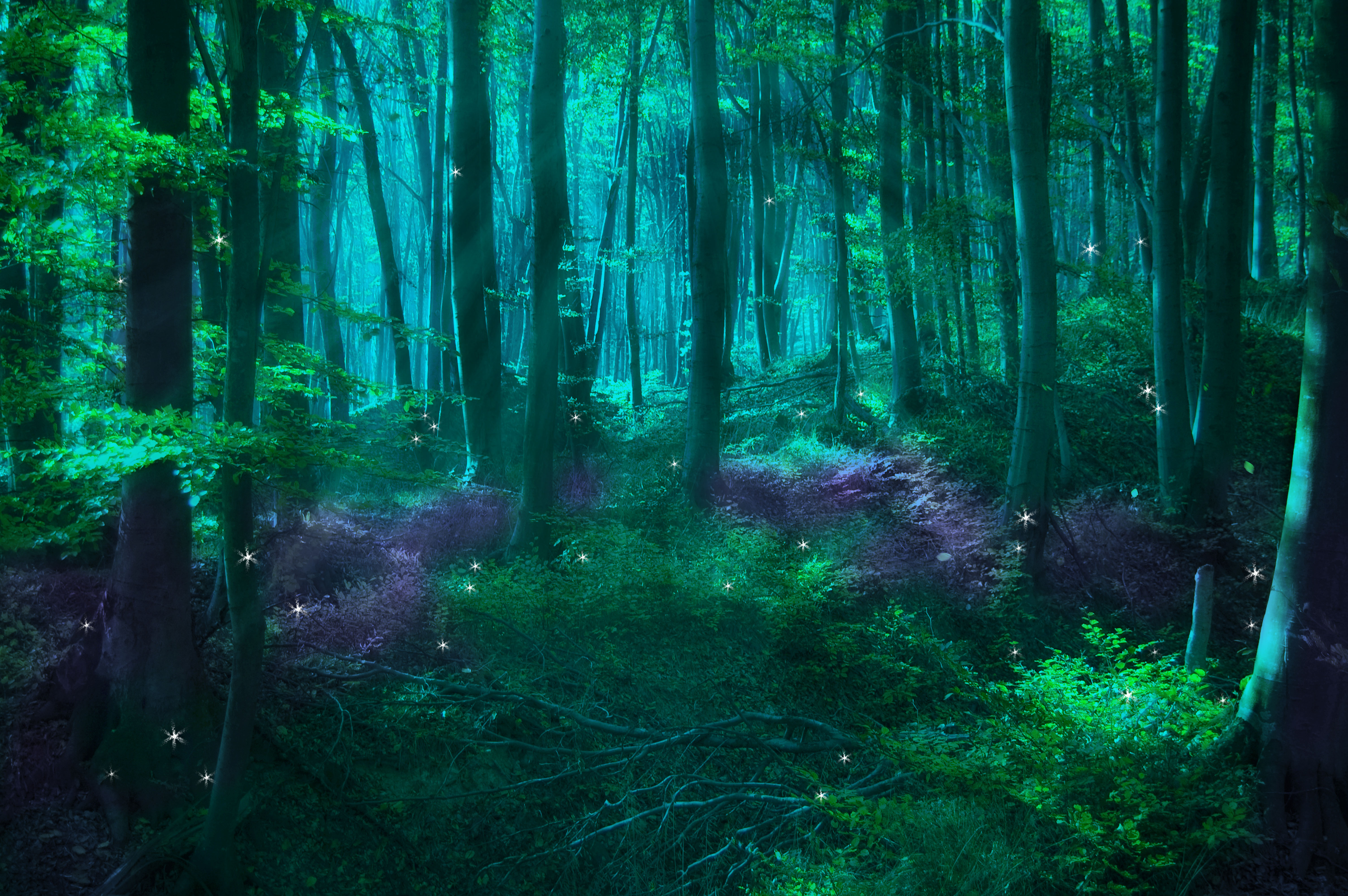 Magical Forest Fairies Create An Enchanted
