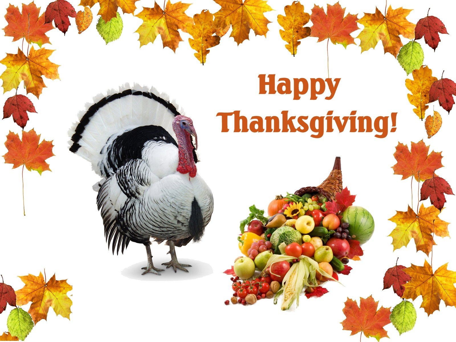 3d Thanksgiving Wallpaper Amazing Cool Background
