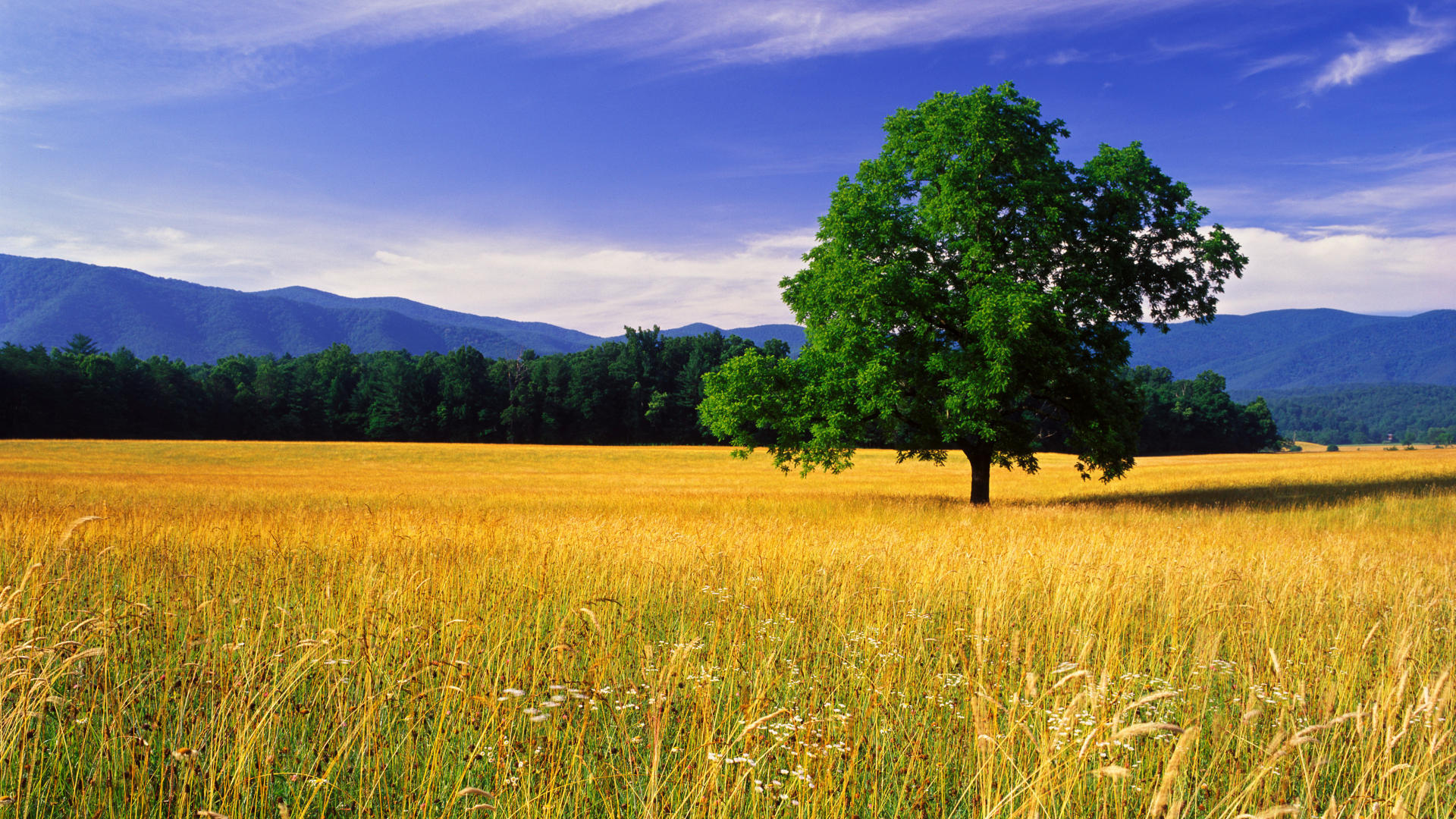 🔥 Download Nature Landscape Beautiful Photos Best Desktop Hd Wallpaper