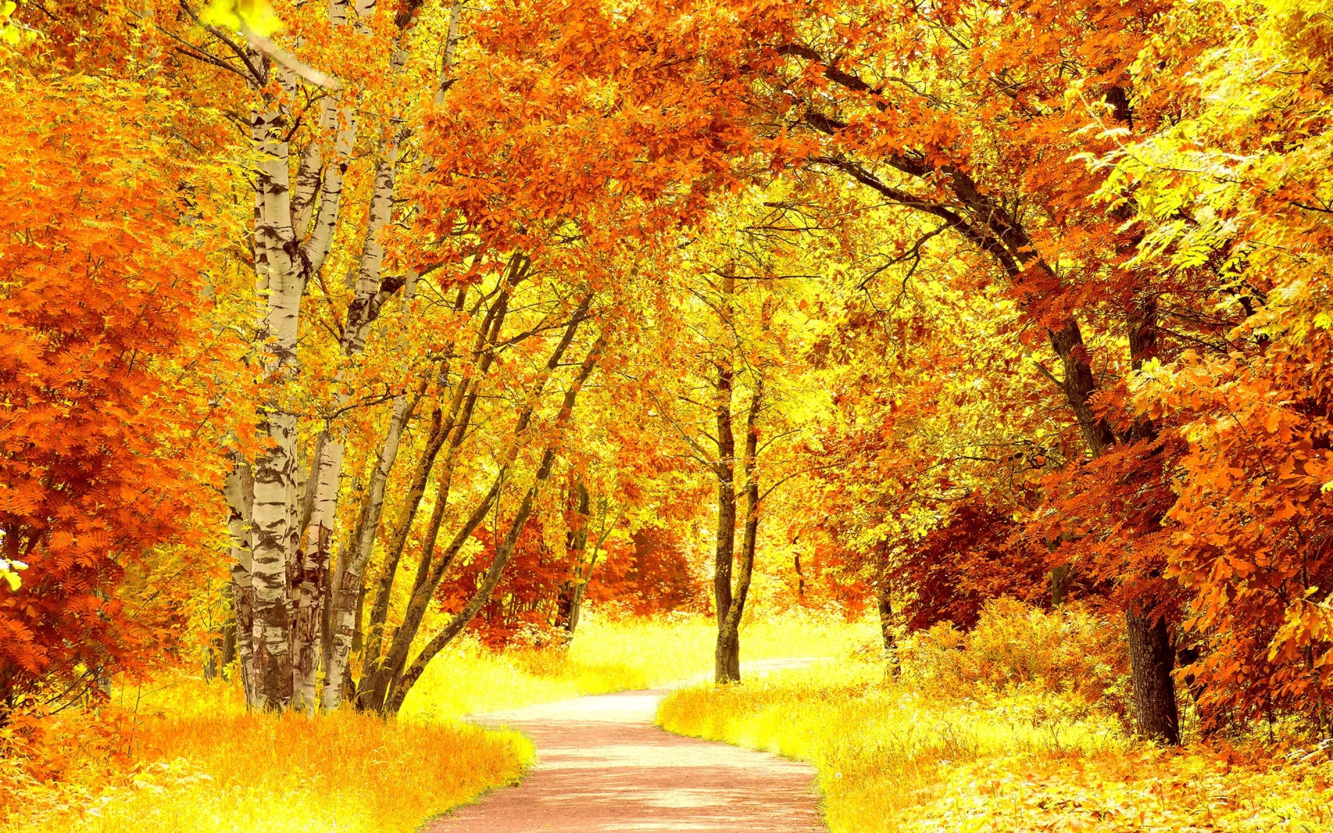 A winding path through a vibrant autumn forest, with leaves in shades of gold, orange, and red