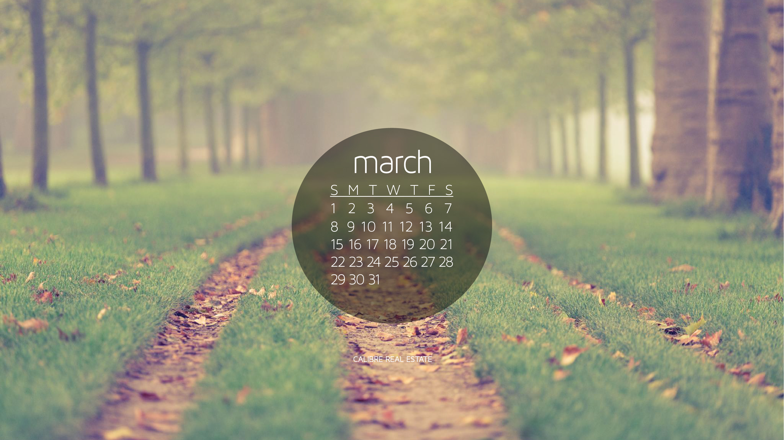 March Calendar Wallpaper