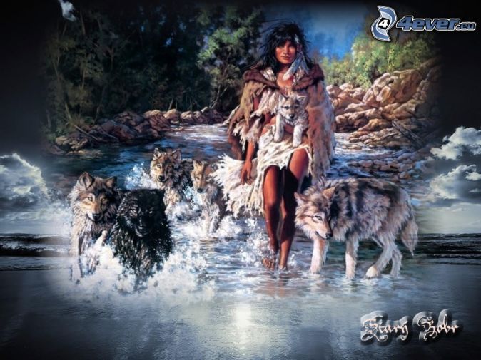 Indian Wolves Stream Forest