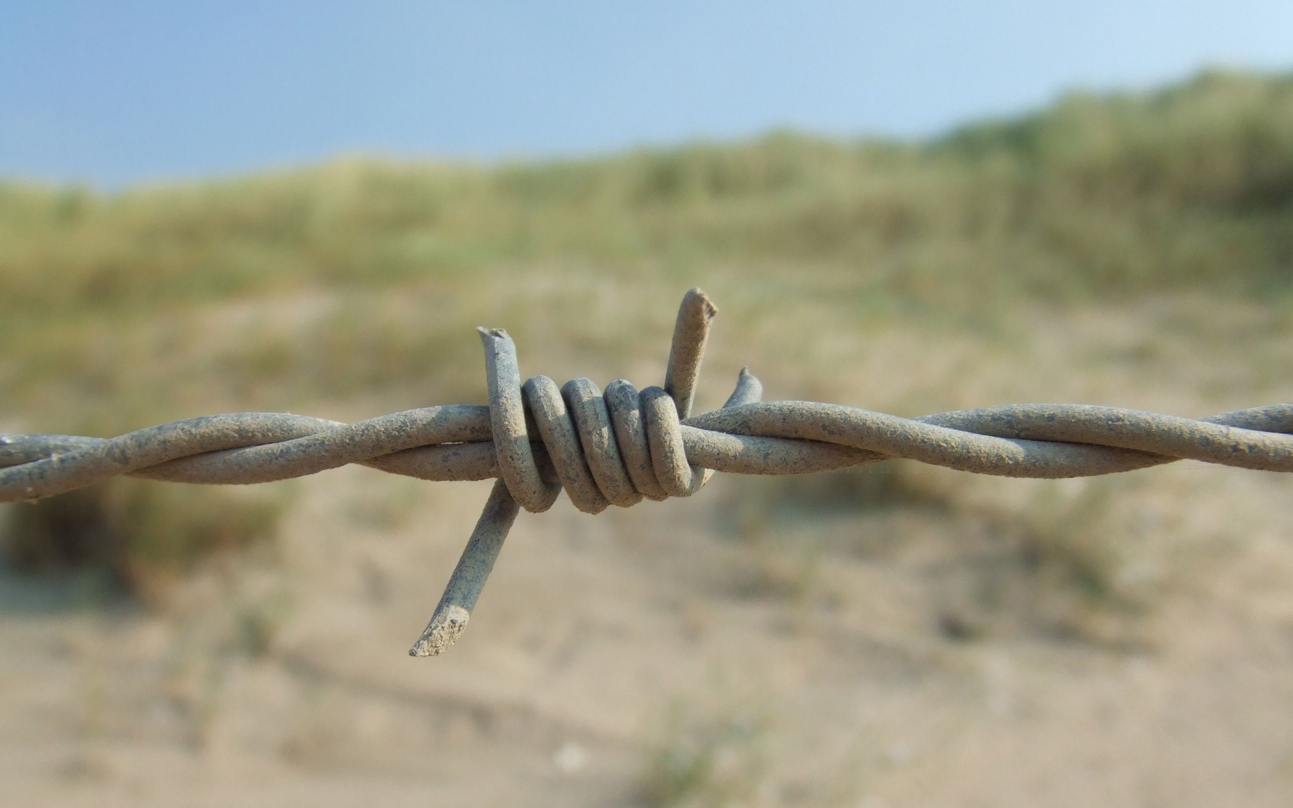 Barbed Wire Wallpaper Stock Photos