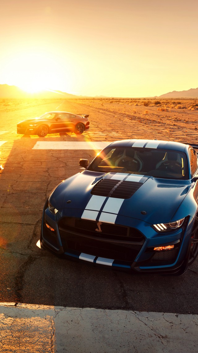 Wallpaper Ford Mustang Shelby Gt500 Cars Detroit Auto