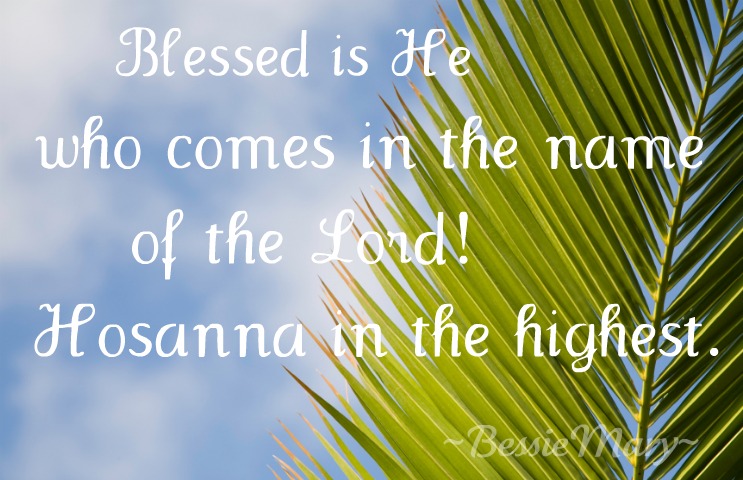 Free download Palm sunday [743x480] for your Desktop, Mobile & Tablet |  Explore 42+ Palm Sunday Wallpaper Background | Easter Sunday Wallpaper, Palm  Tree Wallpaper, Sunday Morning Wallpaper