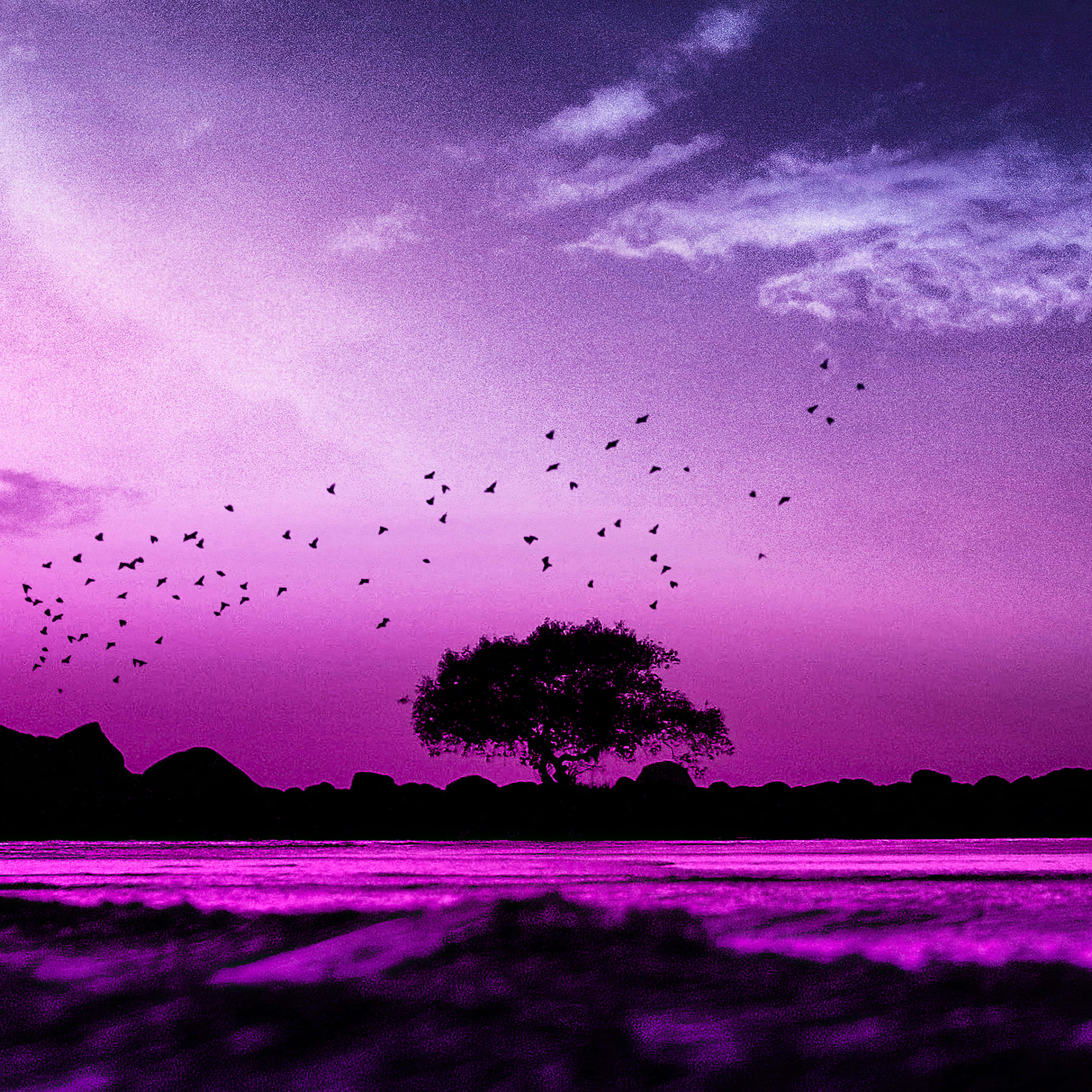 Pink iPad Pro Wallpaper