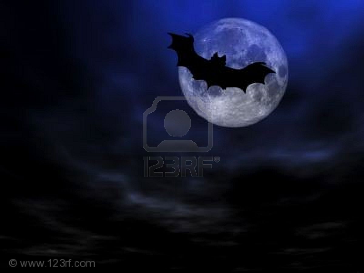 Halloween Wallpaper Flying Bats