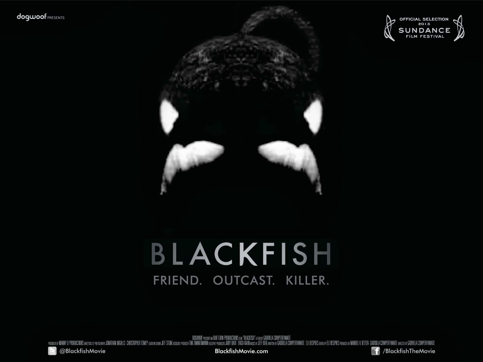 Cosmosimisear Blackfish