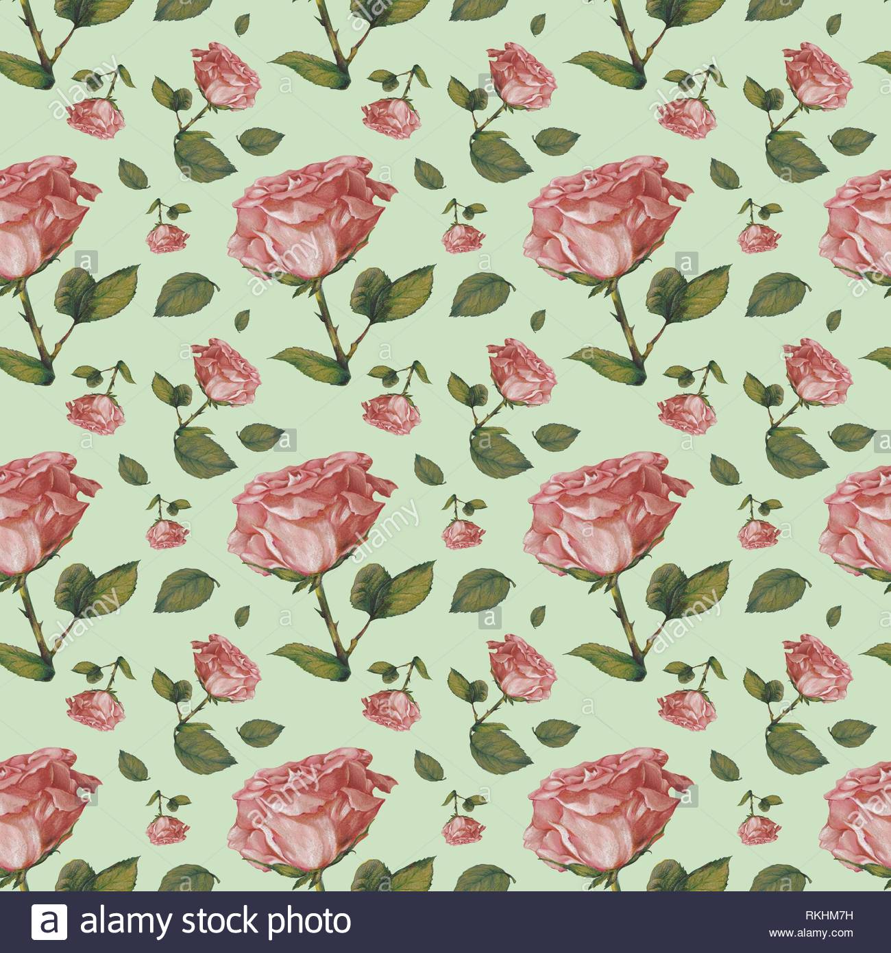 Wallpaper Wrapping Paper Seamless Pattern Old Pink Roses