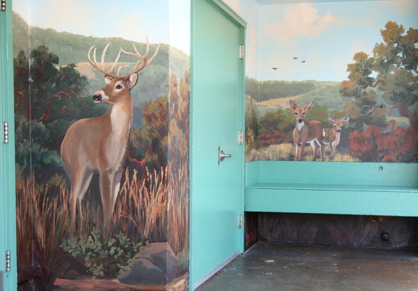 Wildlife Deer Wall Mural Wallpaper Picswallpaper