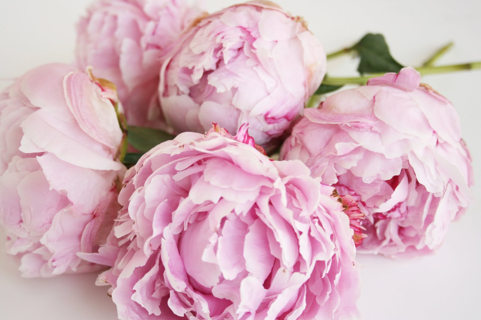 Ever Get A Huge Bouquet Of Peonies Like The One Above Heavenly