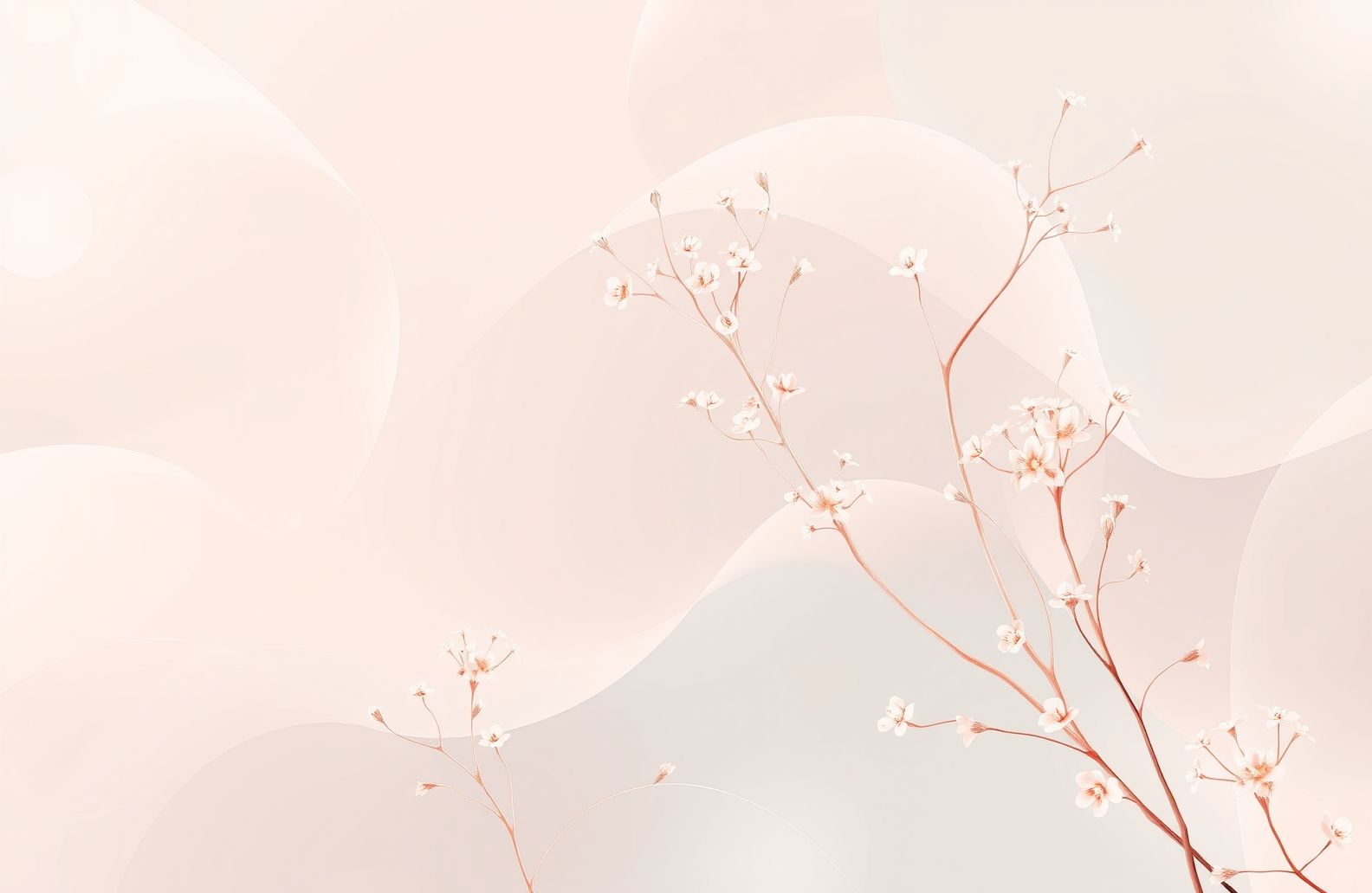 Aesthetic Wallpaper