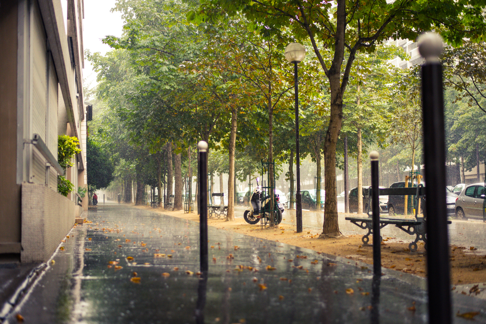 Paris France Rain City Sidewalk Street Road Cars
