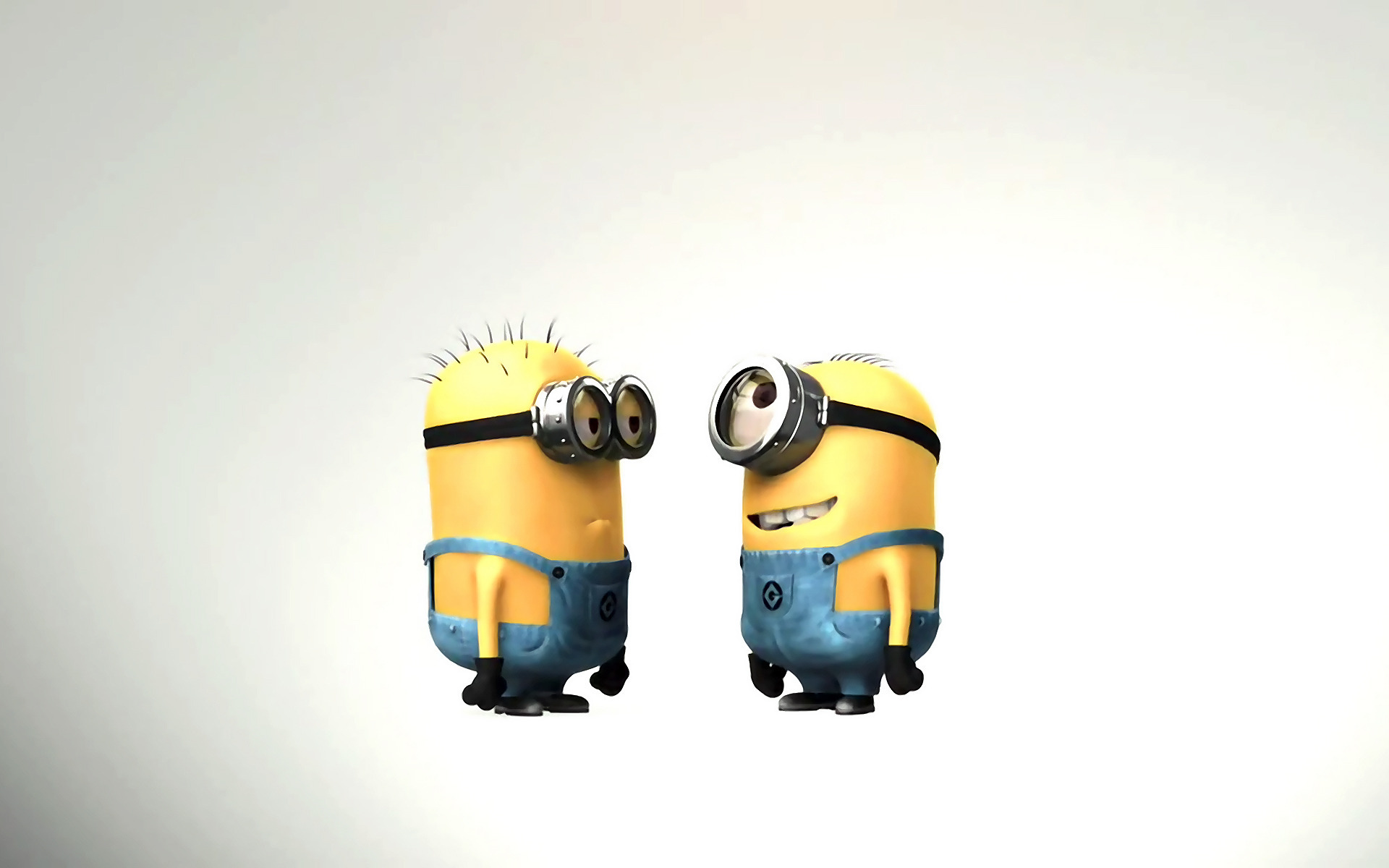 Minions Are Staring At Each Other Wallpaper And Image