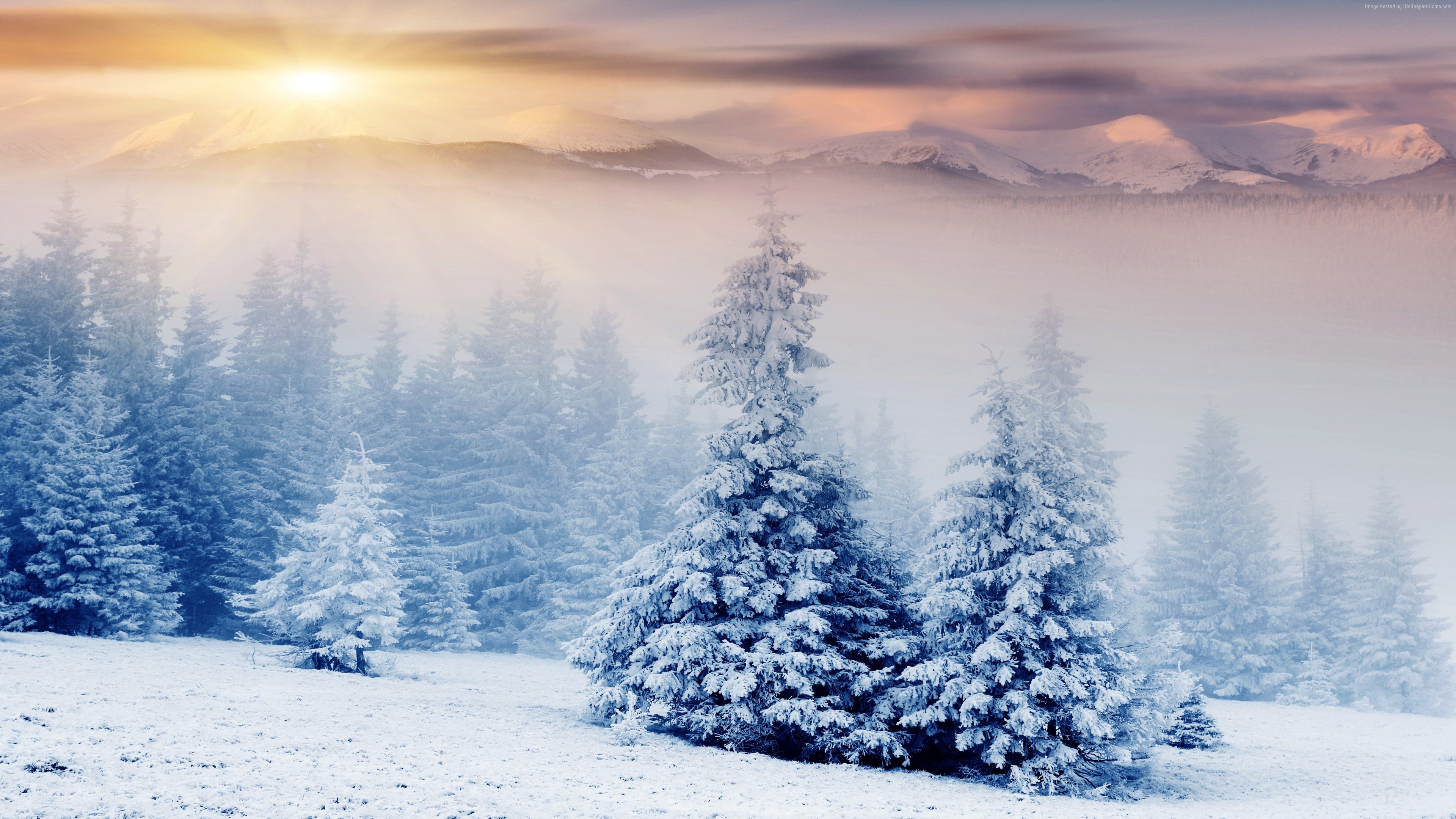 Snow Screensavers And Wallpaper