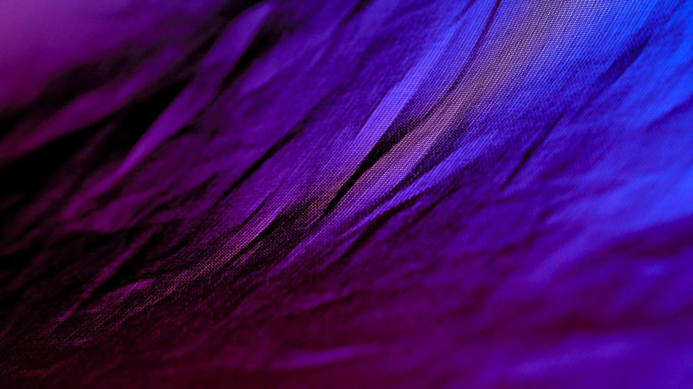 Purple And Black Wallpaper HD Pictures