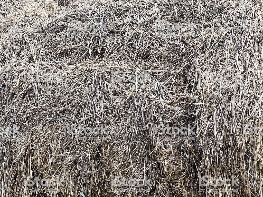 Hay Bale Background Stock Photo Image Now Istock