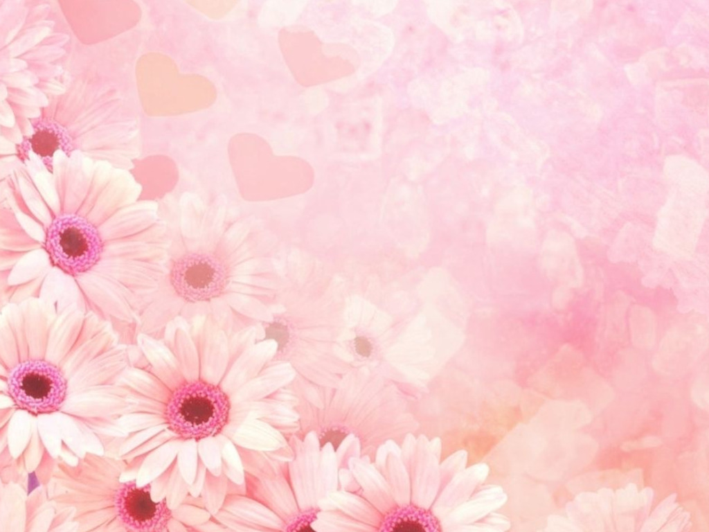 Pink Wallpaper New HD Template Image