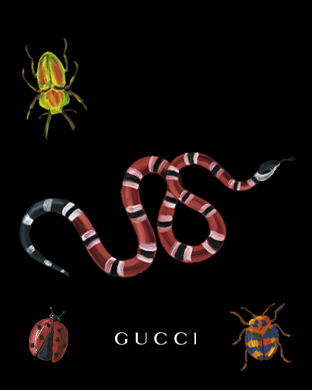 Gucci Official Site United States