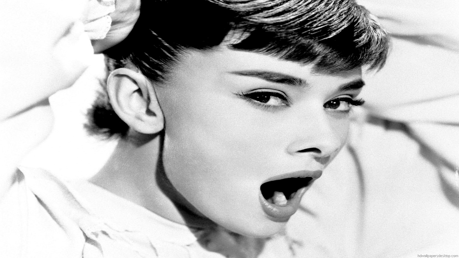 Audrey Hepburn HD Wallpaper Photos Pictures HDtv