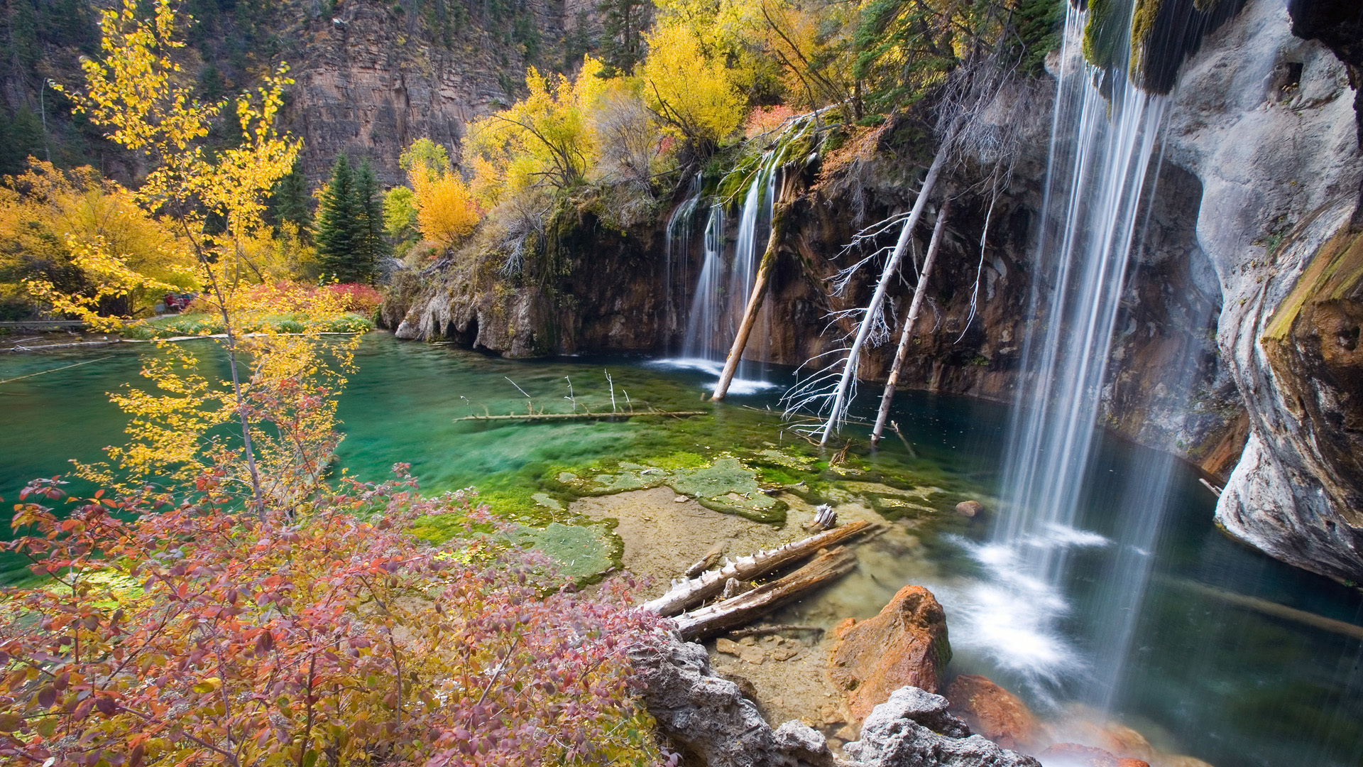 Autumn Forest Landscapes Nature Spheres Trees Wallpaper