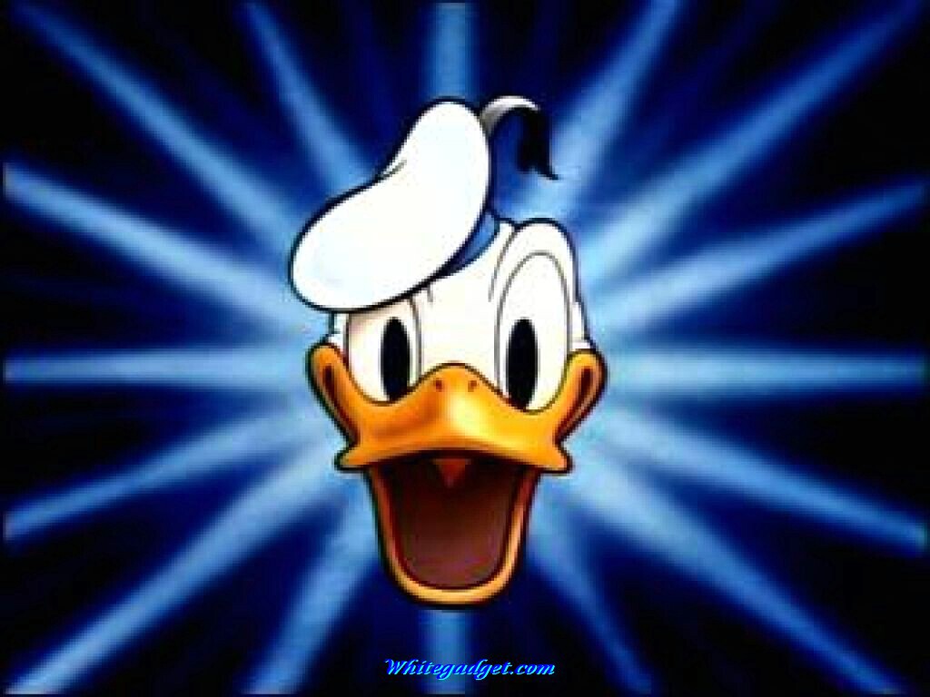 92243d1325851820 Donald Duck Pictures Jpg