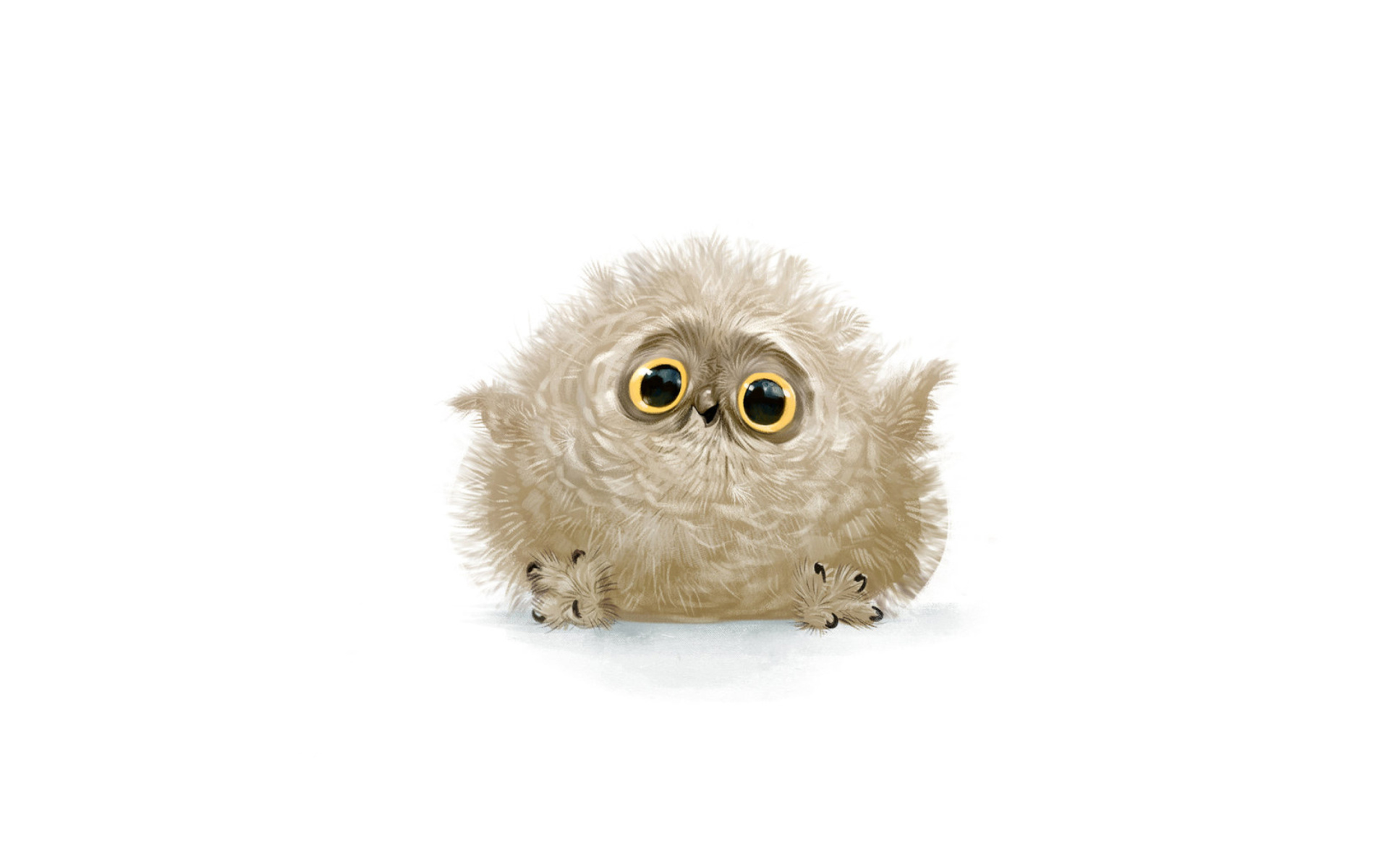Funny Owl Illustration Android Wallpaper Picture