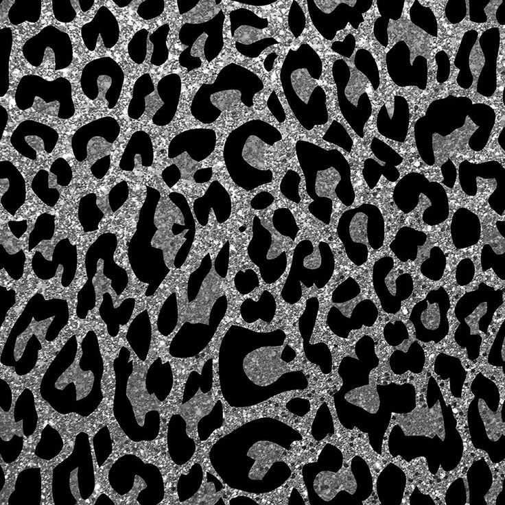 Animal print background HD wallpapers  Pxfuel