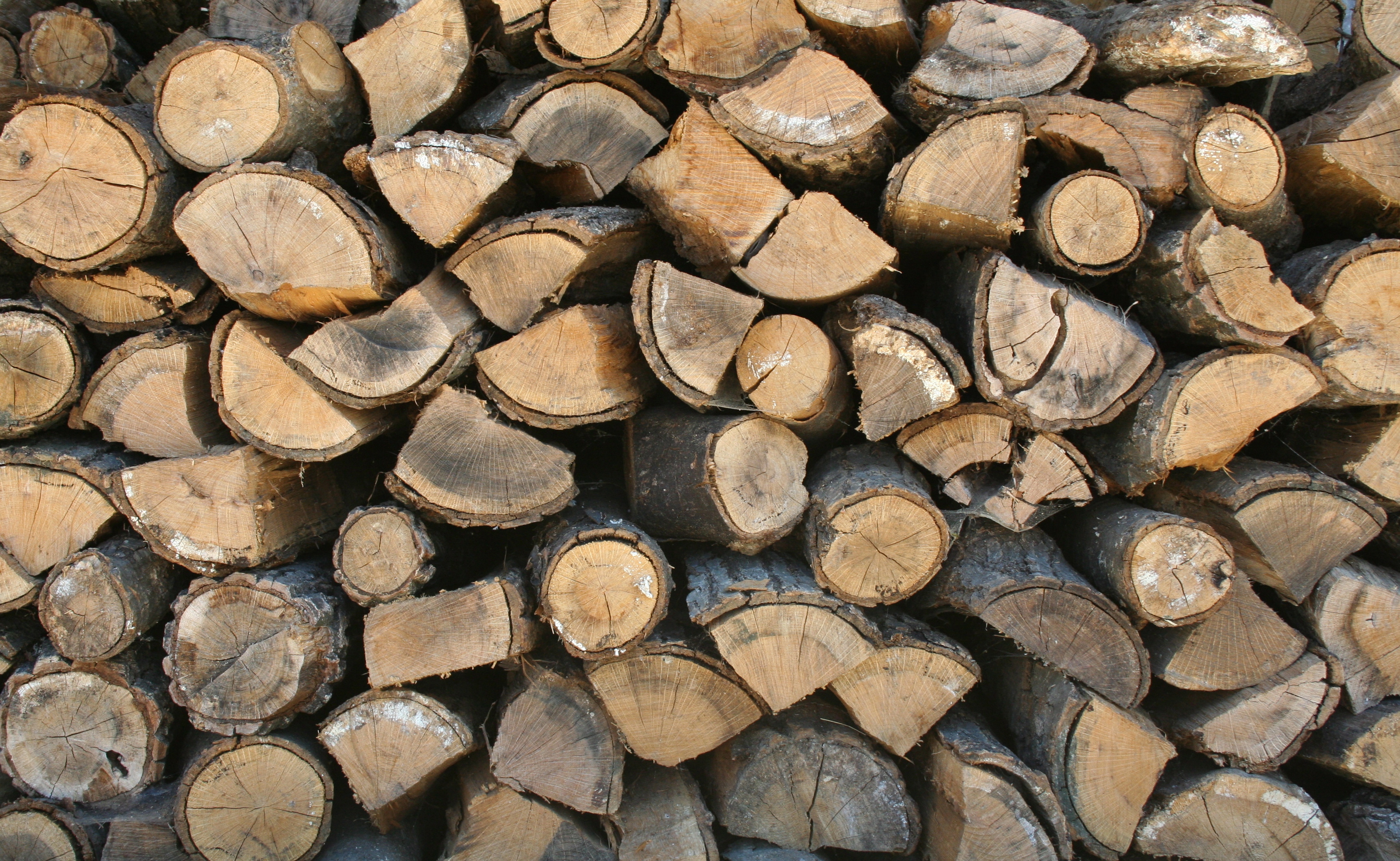 Firewood Logs Wallpaper