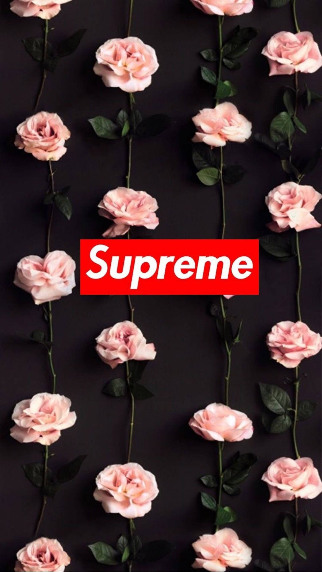 Cartoon iPhone Wallpaper